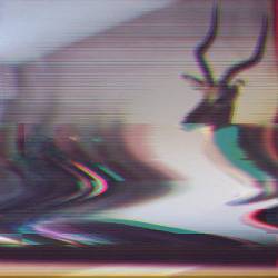 This Beautiful Republic : Covers EP